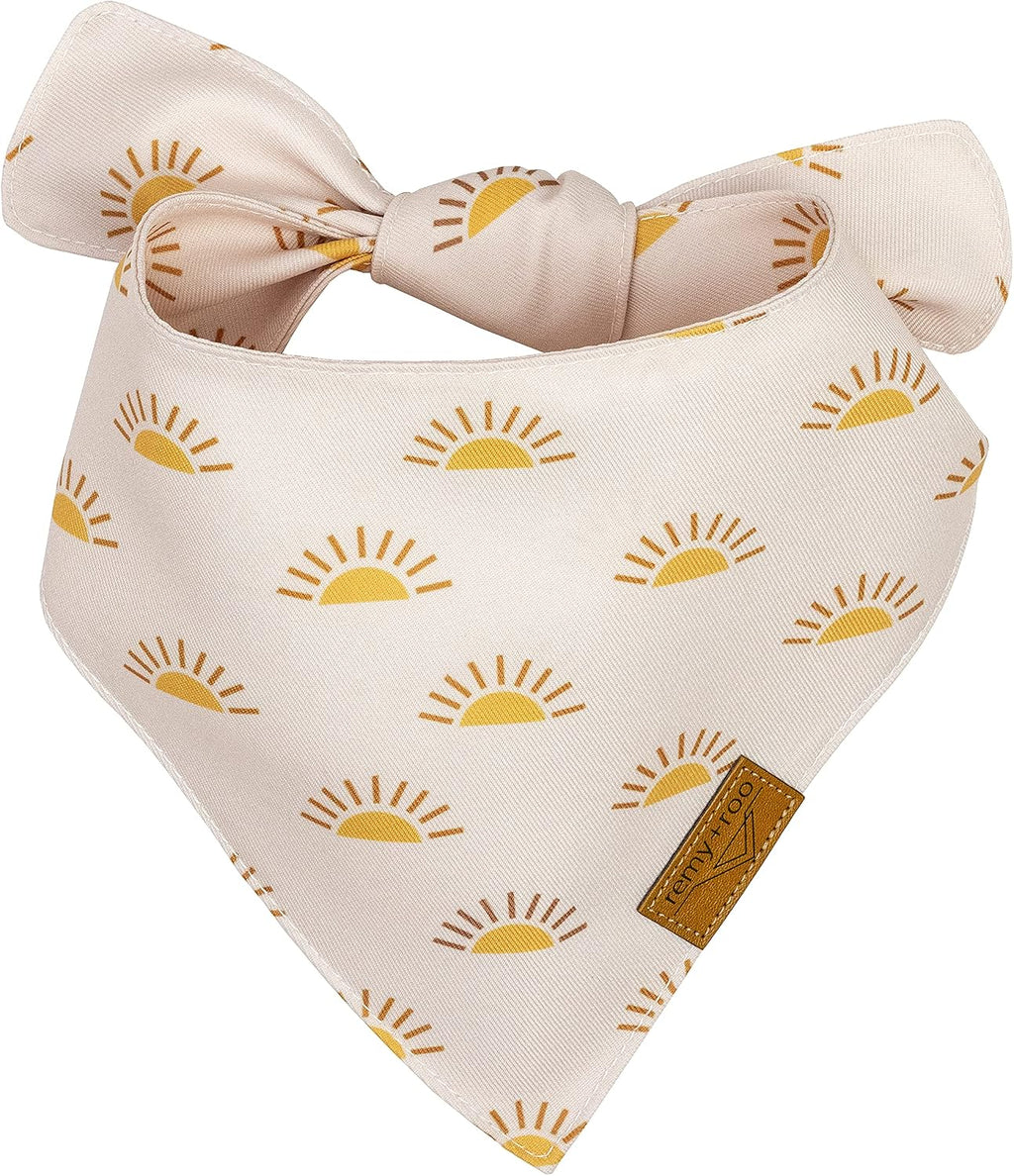 Katherine Spring Dog Bandanas X-Large - 4 Pack - Floral
