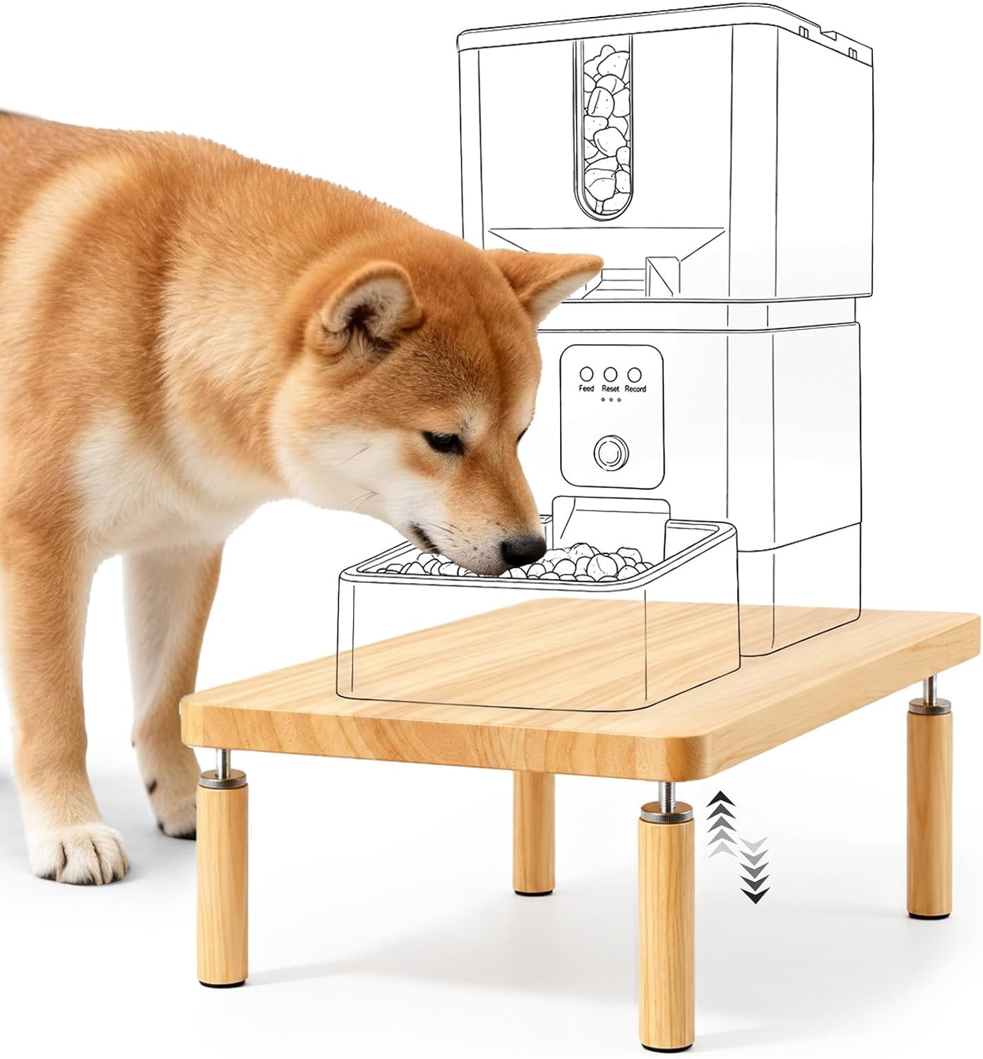 Adjustable Dog Food Stand, Raised Dog Bowl Stand for Medium Breeds, Elevates from 5 1/2" to 6 3/4", Relieves Spine and Joints on Pets (M, Solid Wood)
