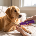 Grooming a dog's paw with the Rechargeable Dog Nail Grinder